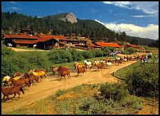 Lost Valley Ranch